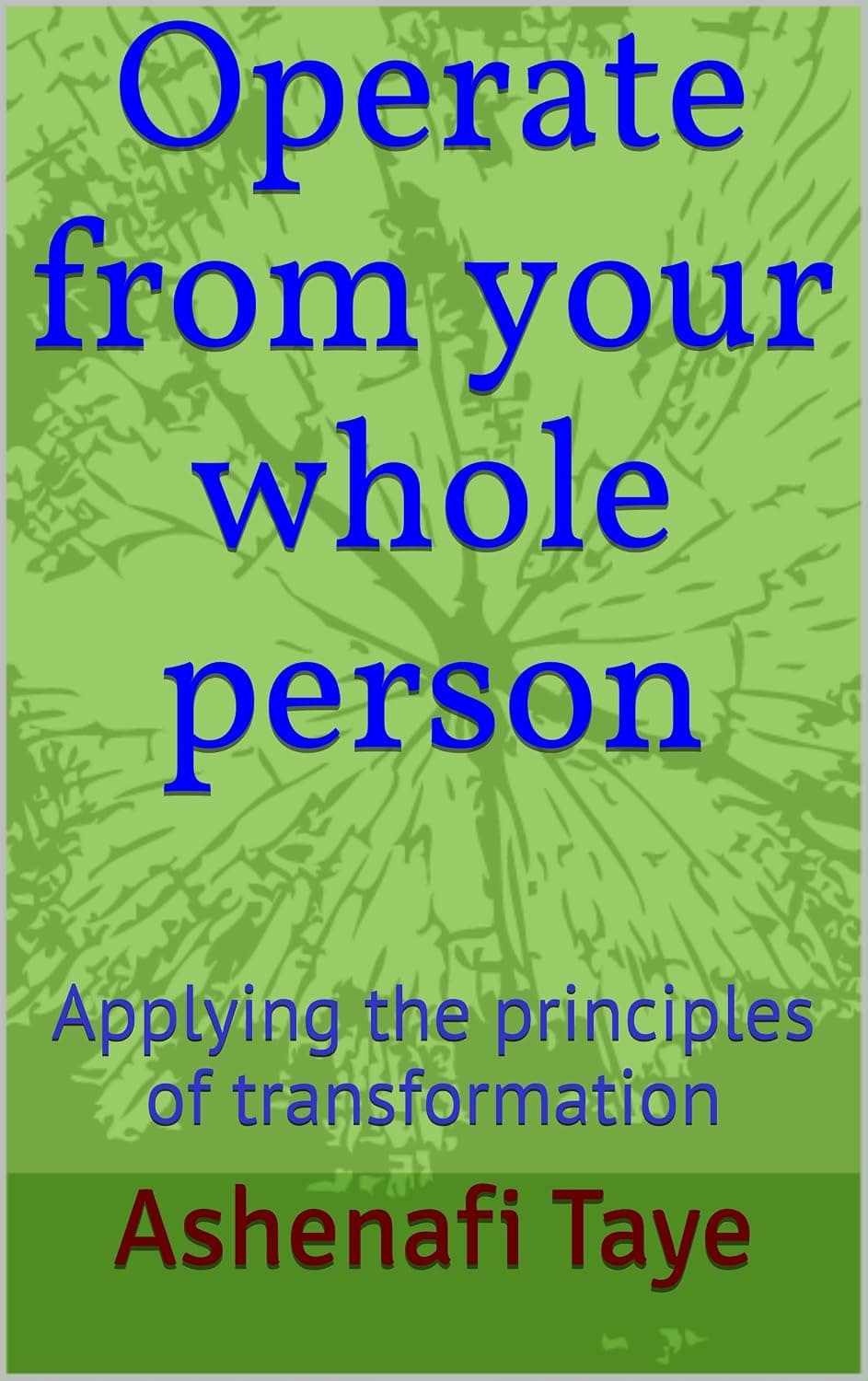 Operate from your whole person: Applying the principles of transformation